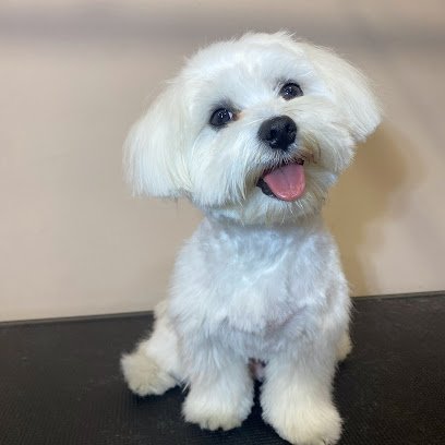 Casa mascotas, Aranjuez en Aranjuez