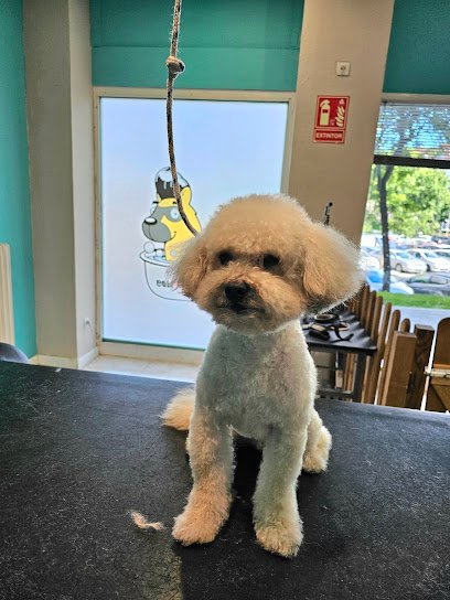 VICHEN - Guarderia, peluqueria y adiestramiento canino en Moratalaz