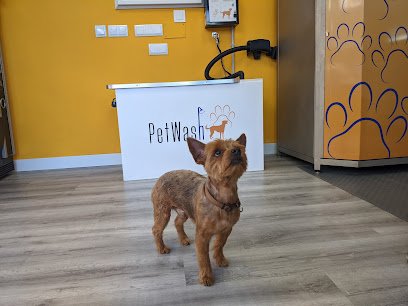 Autolavado y peluquería canina y felina PET WASH en Colmenar Viejo