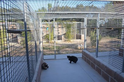 Oficina Granja la Luna residencia canina para perros gatos en Madrid en Moratalaz