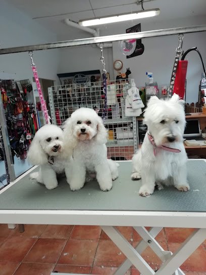 Peluquería Canina RM en Guadarrama