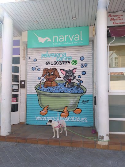 Narval mascotas en Leganés