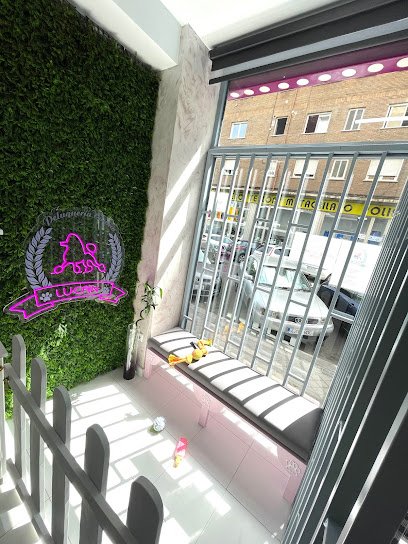 LUCAN Peluqueria Canina en San Isidro