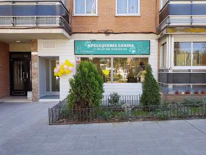 Mimocan Peluquería Canina en San Fernando de Henares