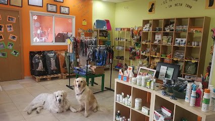 Másqpelos peluquería canina y felina en Getafe