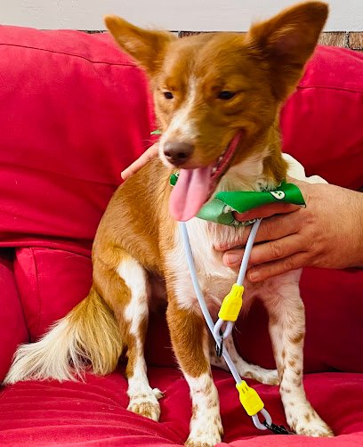 Los Perruqueros De Arganzuela en San Isidro