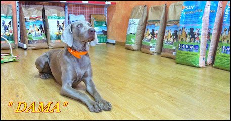 CARPECAN NUTRICIÓN Y ESTILISMO CANINO en San Fernando de Henares