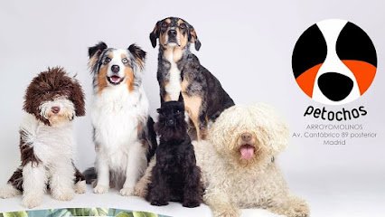 PELUQUERIA CANINA PETOCHOS en Arroyomolinos