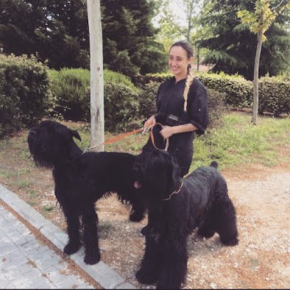 María Núñez Peluquería Canina en Rivas Vaciamadrid