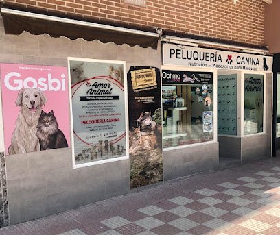 Amor Animal Moratalaz Tienda y Peluquería Canina en Moratalaz