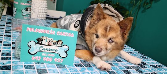 CANINES en Torrejón de la Calzada