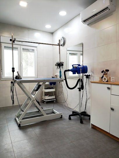 Susana García Peluqueria Canina en Arroyomolinos