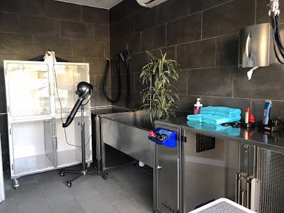 Centro de Belleza postas en Aranjuez