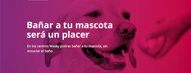 Wasky | Autolavado de mascotas Móstoles Este en Móstoles