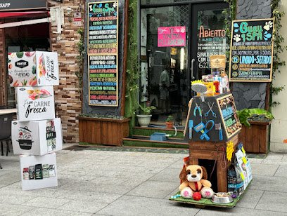 Guau q Spa en Pozuelo de Alarcón