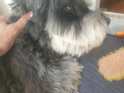 Peluquería Jandri en Collado Villalba