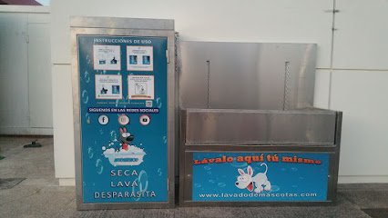 Lavado de Mascotas en San Fernando de Henares