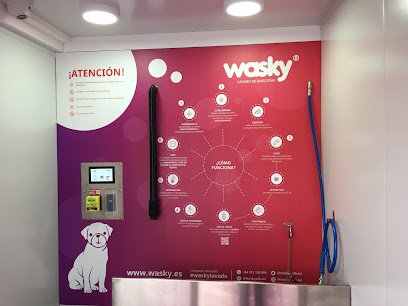 Wasky | Autolavado de mascotas Parla en Parla