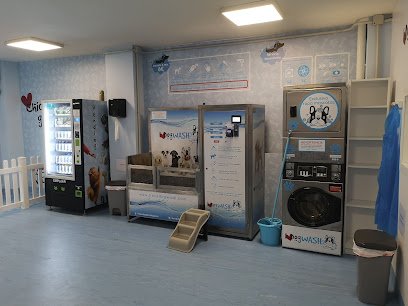 I Love Dog Wash Alcalá de Henares | Autolavado de mascotas y Peluquería canina en Alcalá de Henares
