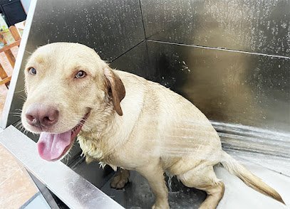 No disponible en Aranjuez