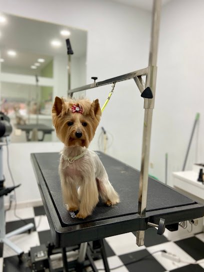 Fieras & Tijeras - Peluqueria canina en Guadarrama