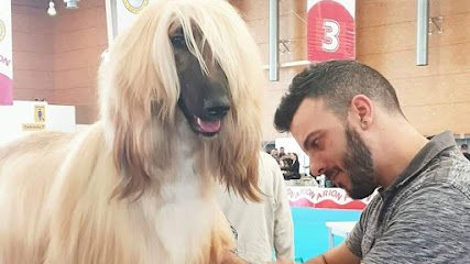 Peluquería canina Rubén arranz en Fuenlabrada