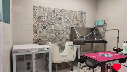 Perruqueria Madrid Río Peluquería Canina Amable en San Isidro