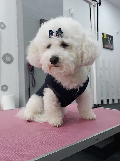 Peluquería Canina Alidog en Collado Villalba