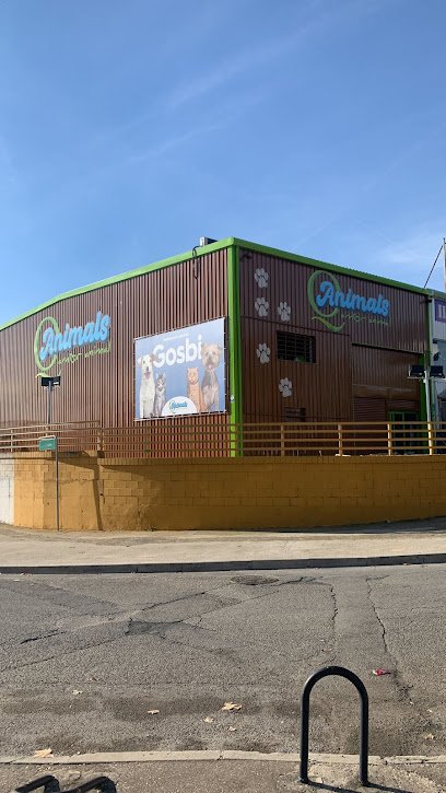 QAnimals Parla en Parla