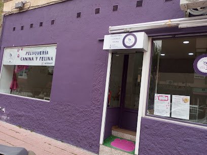 Peluquería Canina y Felina de Irene Barzallo en Móstoles