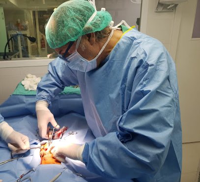 Clinica Veterinaria Orcasitas en Villaverde