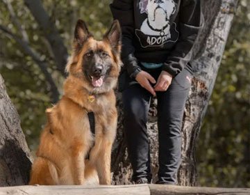 Peluquería canina San Fernando de Henares