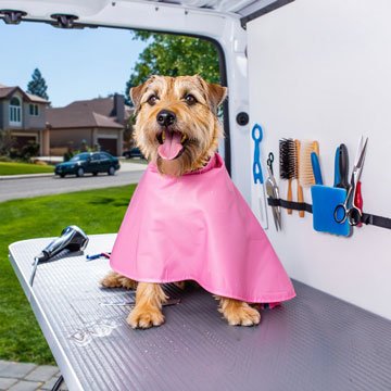 Interio de peluquería canina movil