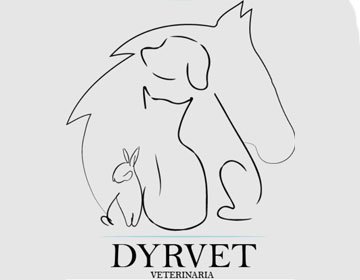 dryvet peluqueria canes Aravaca